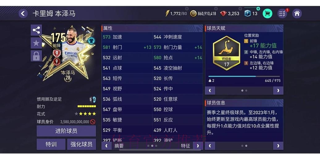 探索世界杯下注金额的奥秘